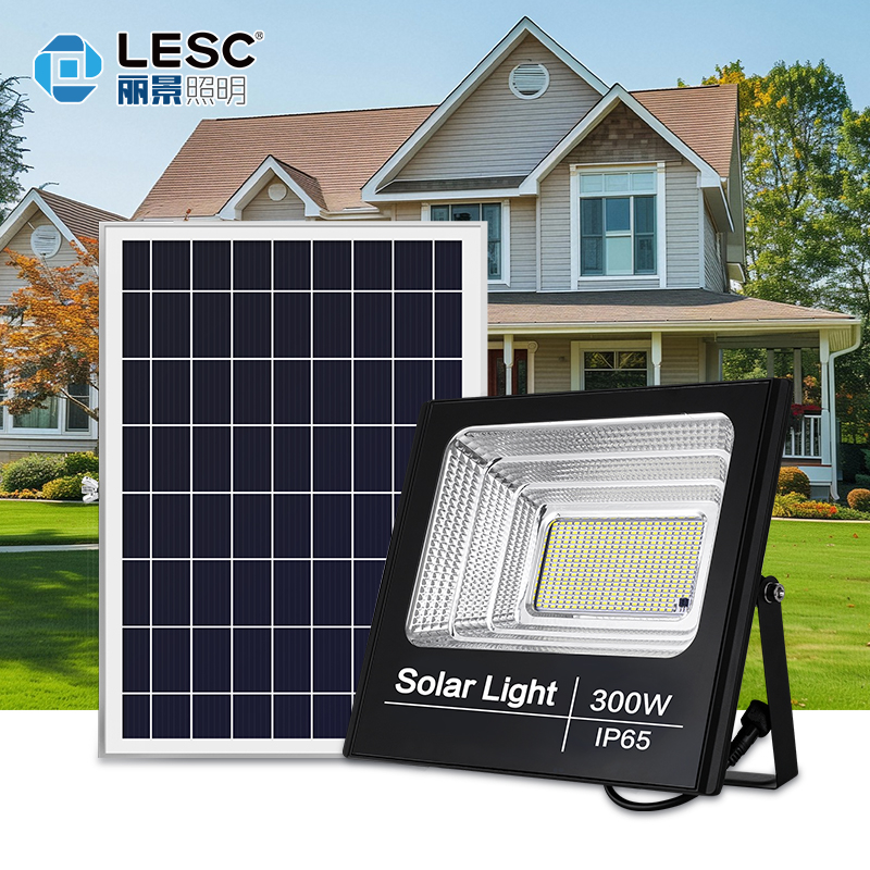 香港六家宝典资料大全